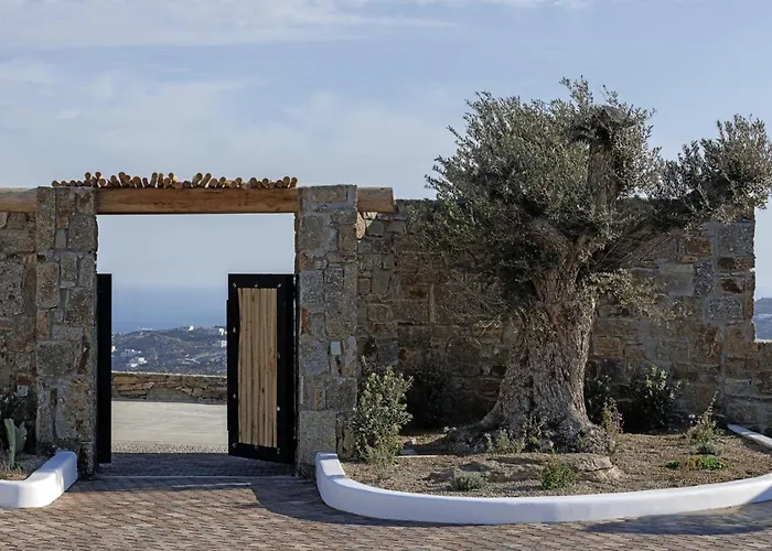 شقة فندقية Whiteart Agrari (Mykonos)