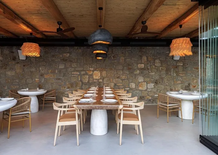 Whiteart Aparthotel Agrari (Mykonos)